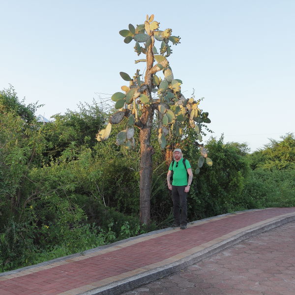 Me and a Opuntia