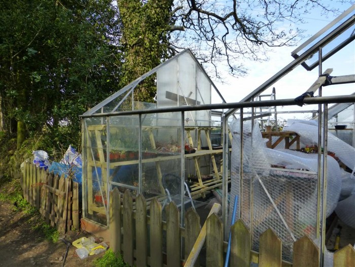 Side wall removed from existing greenhouse and in new position (yes there are plants on the benching).