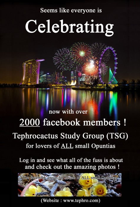 TSG Celebrating over 2000 members copy.jpg