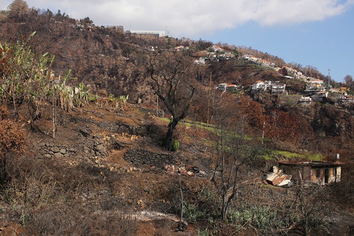 The deliberately lit fires which caused such damage and distress had destroyed so much vegetation, even here north of Funchal
