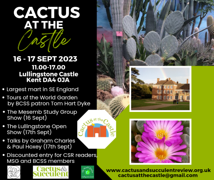 Cactus at the Castle 2023 advert.png