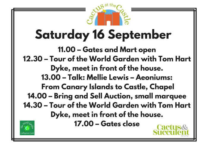 Saturday timetable _20230915_072904_0000.png