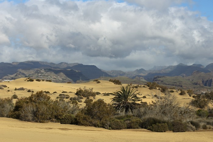 View of the mountains with a storm brewing, from the dunes at Maspalomas