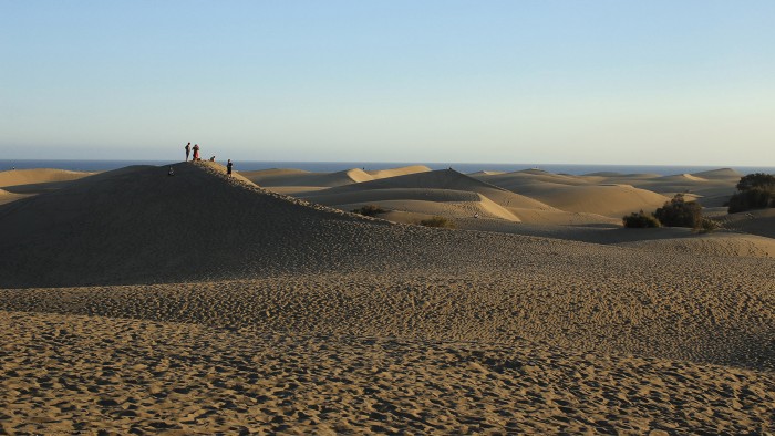 The dunes at sunset