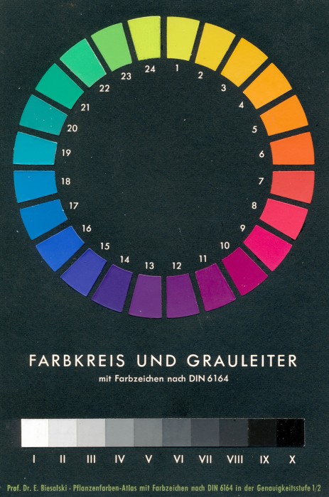 Biesalski_Color-chart.jpg