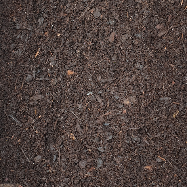 compost close-up.jpg